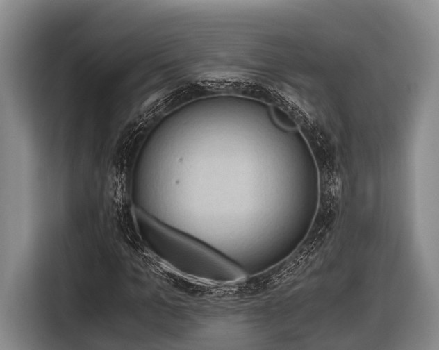 X0000116860965200912291256