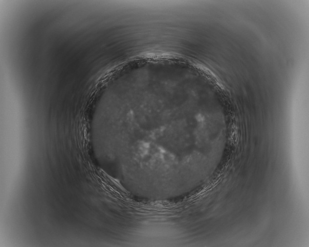 X0000116860966200912291256