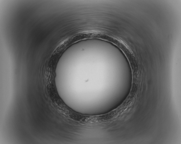 X0000116860967200912291256