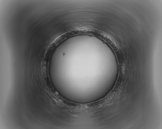 X0000116860968200912291256