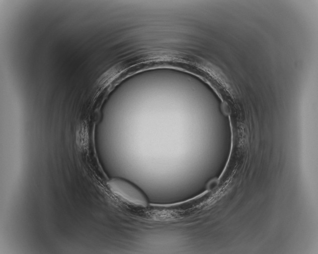 X0000116860969200912291256