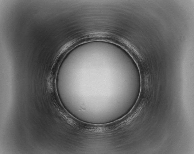 X0000116860970200912291256