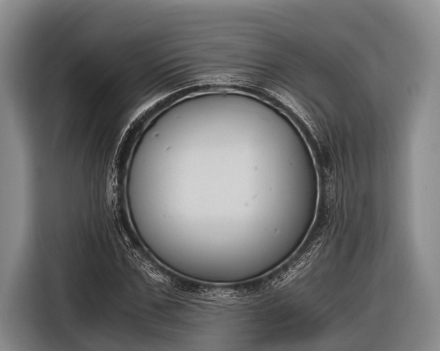 X0000116860971200912291256