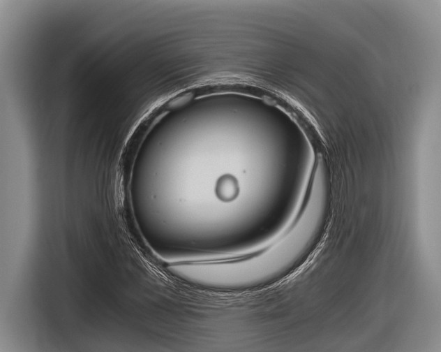 X0000116860973200912291256