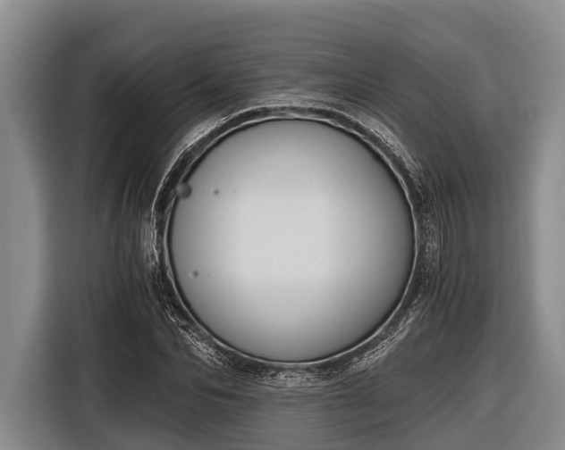 X0000116860974200912291256