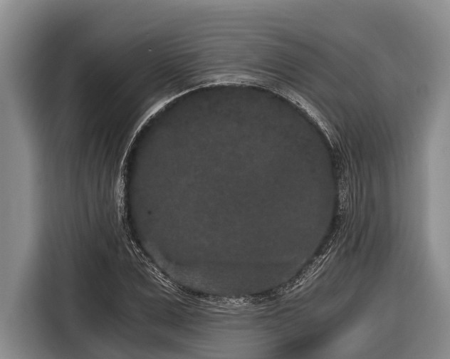 X0000116860975200912291256