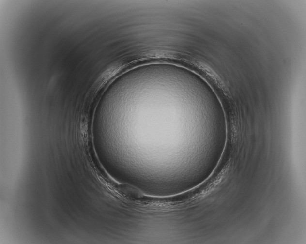 X0000116860977200912291256