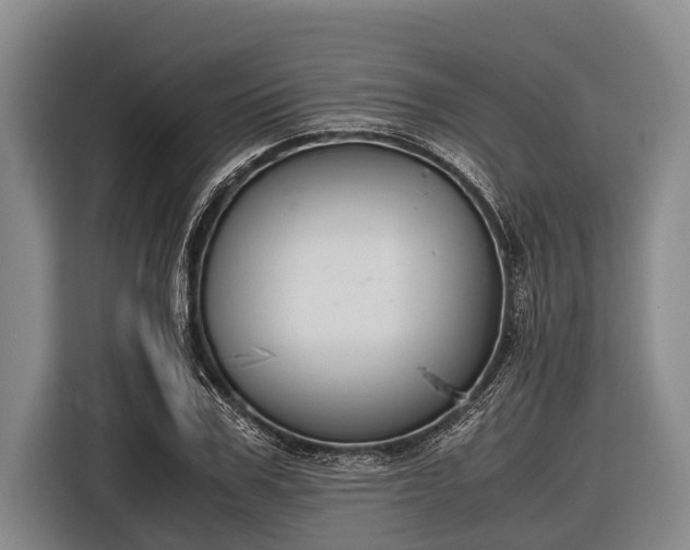 X0000116860979200912291256