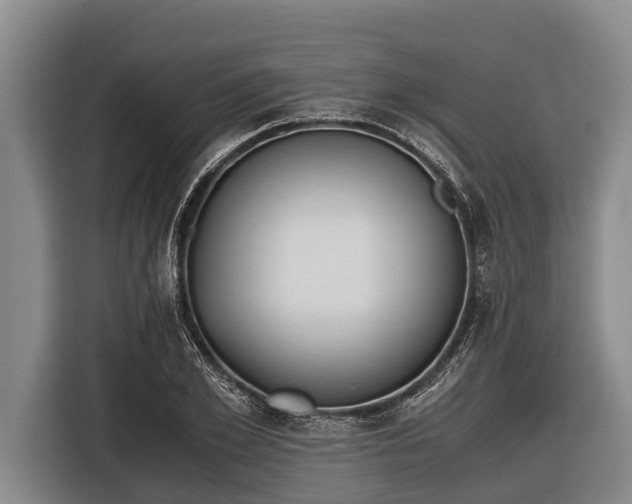 X0000116860981200912291256