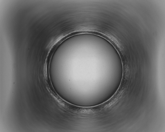 X0000116860982200912291256