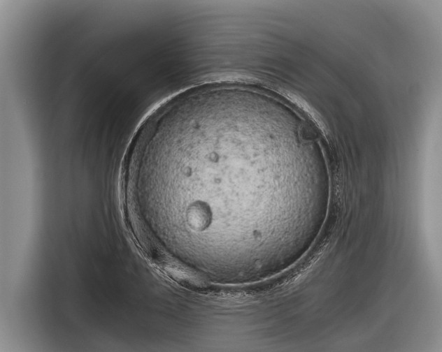 X0000116860983200912291256