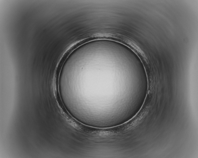 X0000116860984200912291256