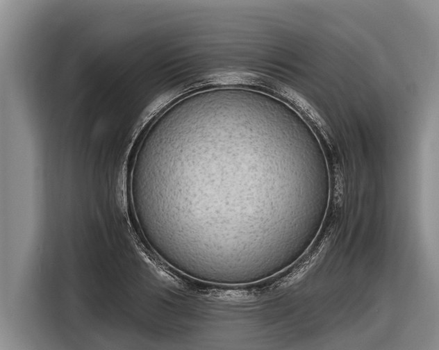 X0000116860986200912291256