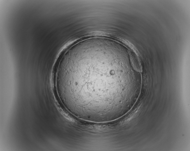 X0000116860987200912291256