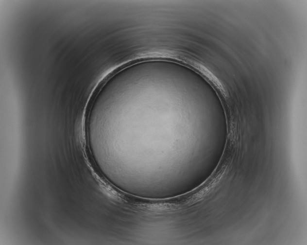 X0000116860988200912291256