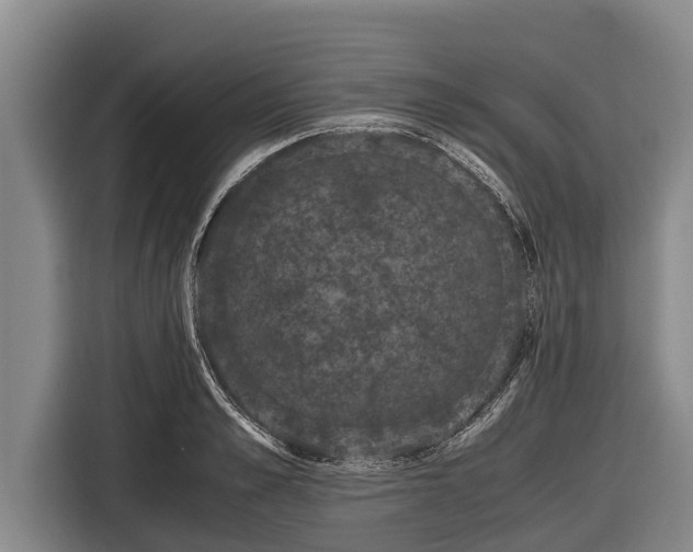 X0000116860989200912291256