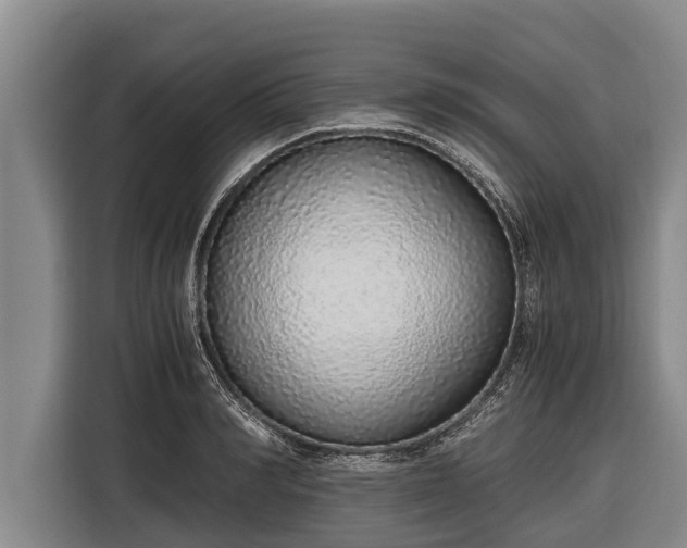 X0000116860990200912291256