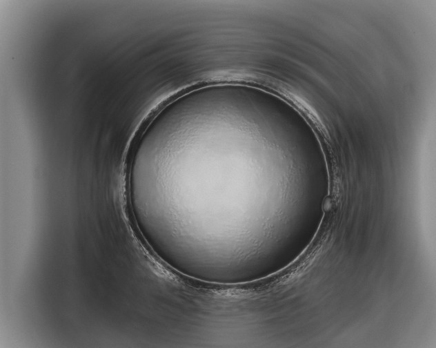 X0000116860992200912291256