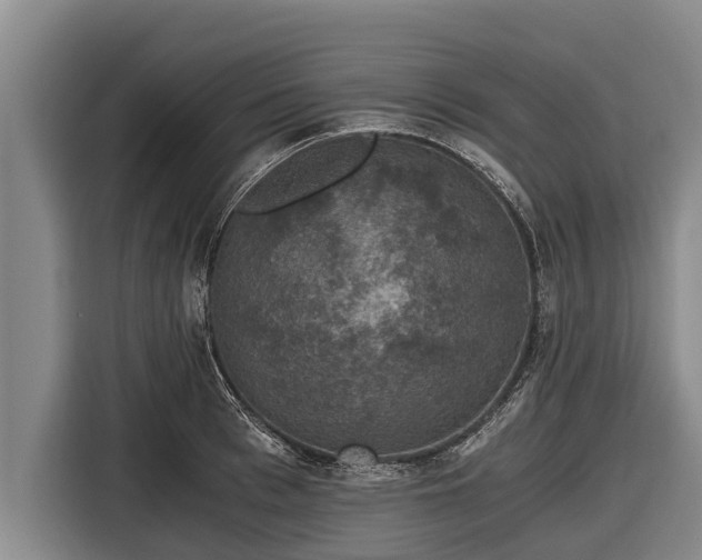 X0000116860993200912291256