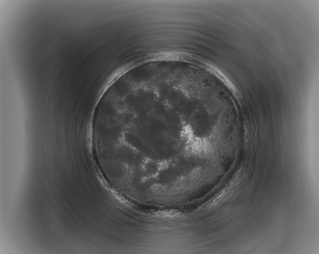 X0000116860994200912291256