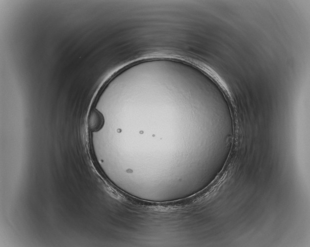 X0000116860996200912291256