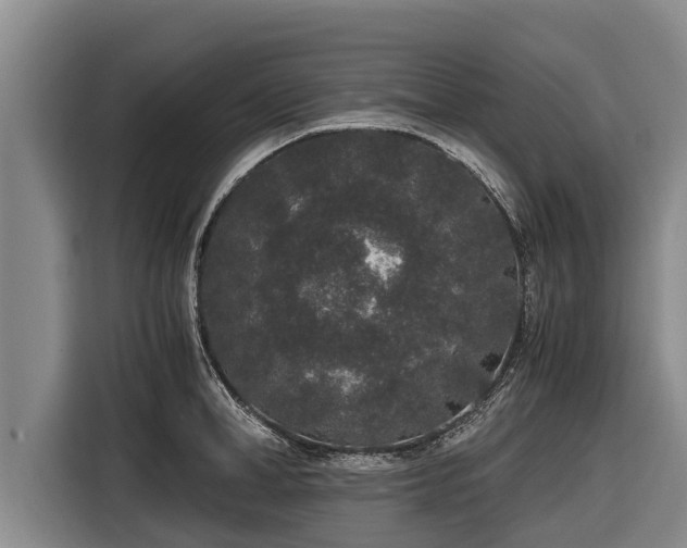 X0000116860998200912291256