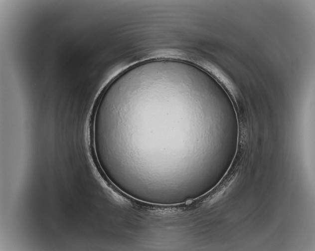 X0000116860999200912291256