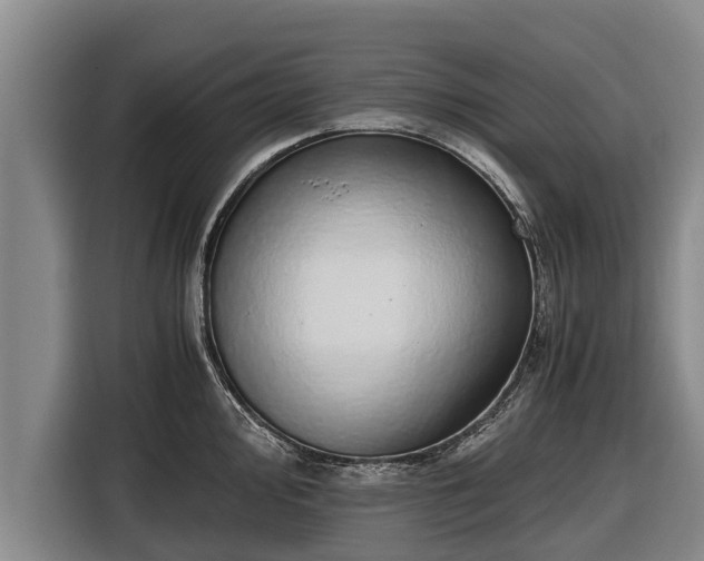 X0000116861000200912291256