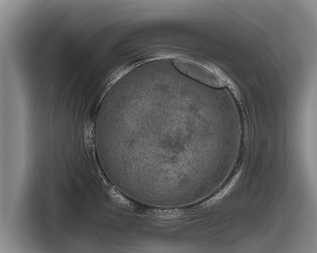 X0000116861001200912291256