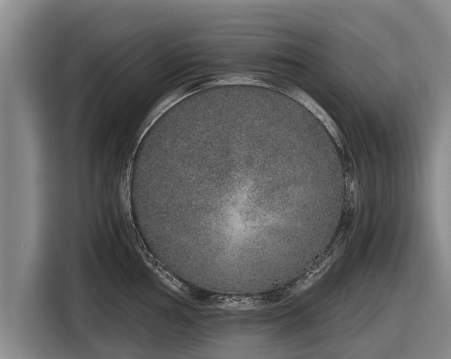 X0000116861002200912291256