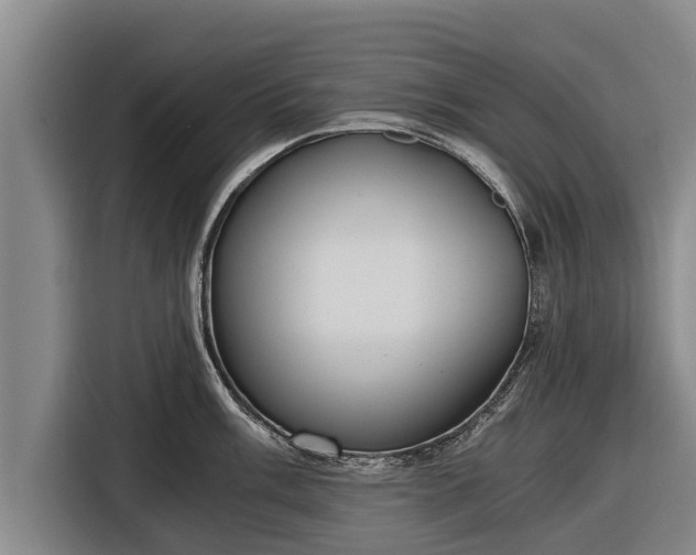 X0000116861003200912291256