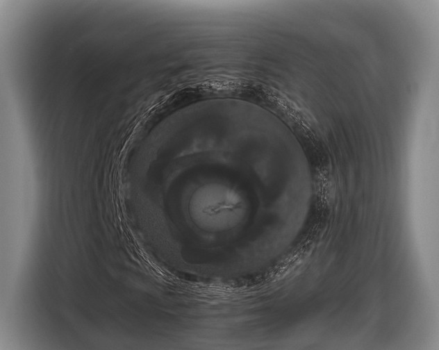 X0000116861009200912291255