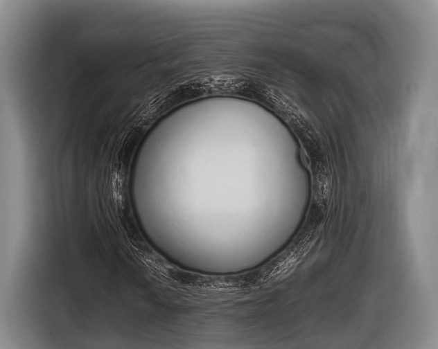 X0000116861010200912291255