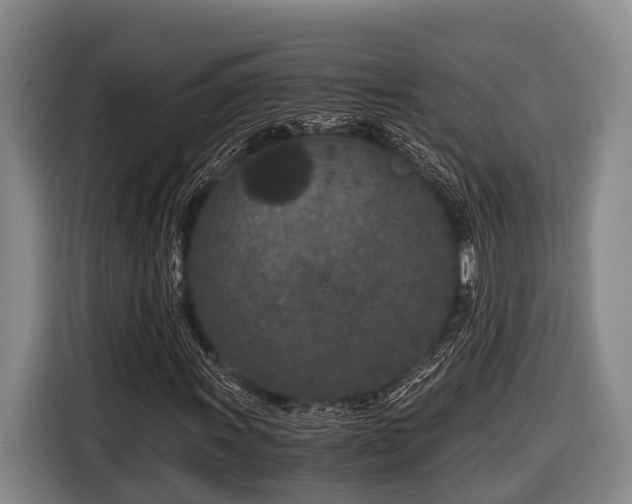 X0000116861011200912291255