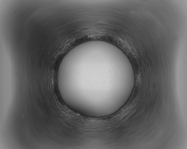 X0000116861012200912291255