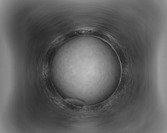 X0000116861014200912291255