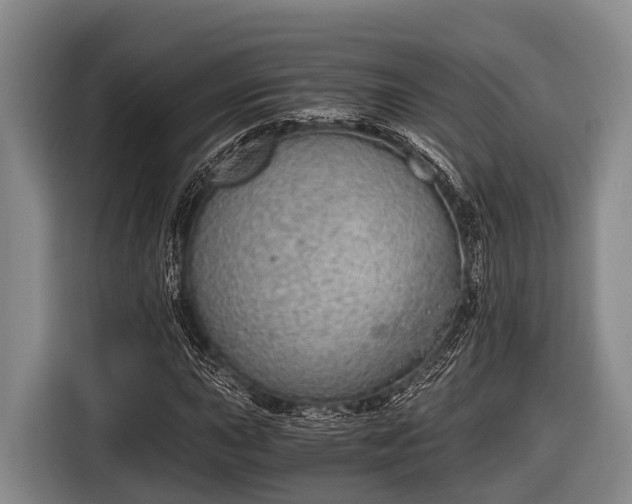 X0000116861015200912291255