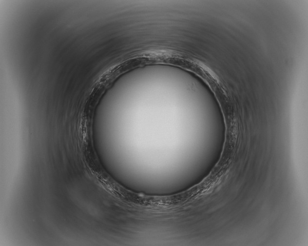 X0000116861016200912291255