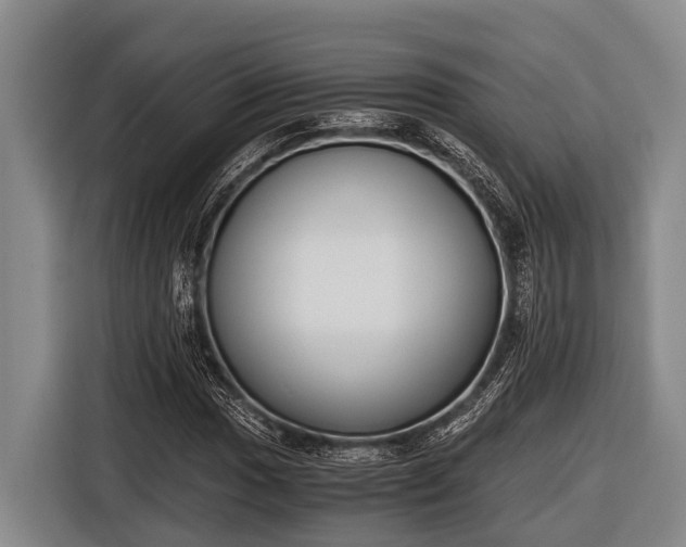 X0000116861017200912291255