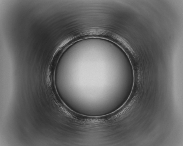 X0000116861018200912291255