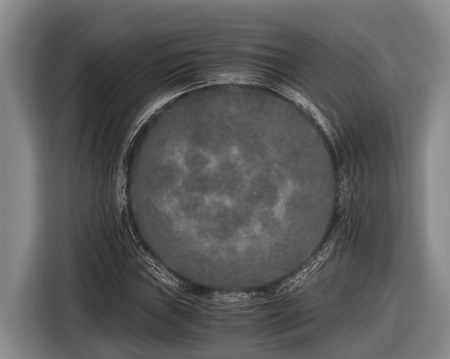 X0000116861019200912291255