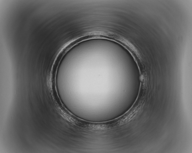 X0000116861020200912291255