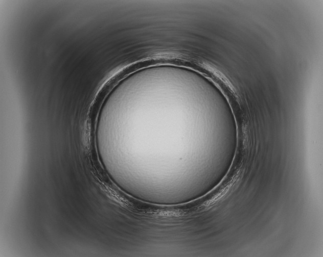 X0000116861021200912291255