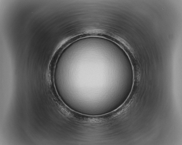 X0000116861022200912291255