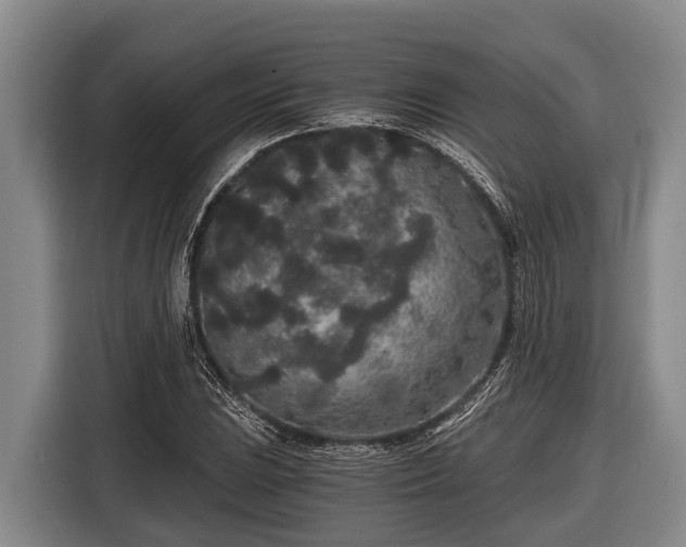 X0000116861023200912291255