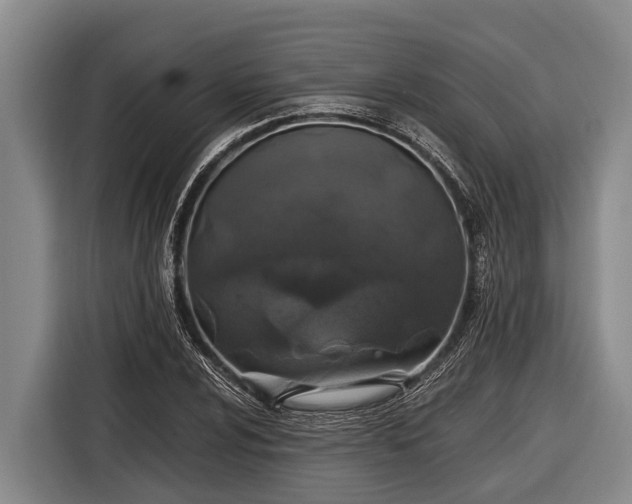 X0000116861024200912291255