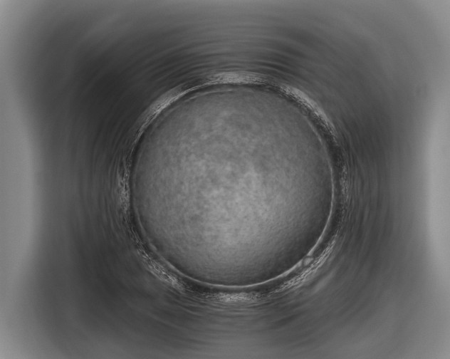 X0000116861025200912291255