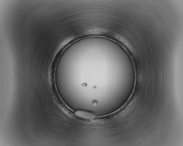 X0000116861026200912291256