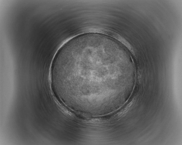 X0000116861028200912291256