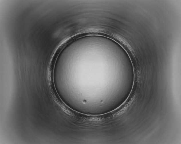 X0000116861029200912291256